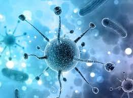 Nipah virus (niv) infection can be diagnosed during illness or after recovery. Tamil Nadu Nipah Virus Case Identified In Coimbatore India News India Tv