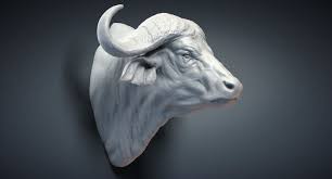 Cape Buffalo Animal Head 3d Model Turbosquid 1306166 Buffalo Animal Animal Heads Animal Sculptures