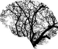 Studium manchmal ist die frage nach dem mehrwert gar nicht aus einfach oder überhaupt nicht zu beantworten, weil dir im vorfeld informationen fehlen oder du dir einfach unsicher bist. Berufsbegleitend Psychologie Studieren 2021