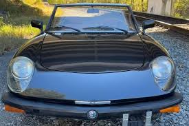 Image result for Avorio 1982 Alfa-Romeo