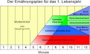 Dr Rudolph Arzt Fur Kinder Und Jugendmedizin