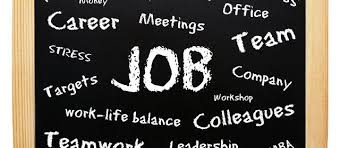 Well Organized Training And Placement Programs Jobs For Freshers Job Opening Job Career