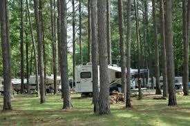 285 deer run drive camden, al 36726 park office: Roland Cooper State Park Set To Reopen Online Only Courierjournal Net