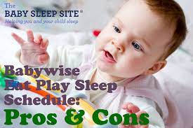 Baby sleep schedules vary, depending on how many hours of sleep the baby needs in a 24hr period. Babywise Eat Play Sleep Schedule Pros And Cons The Baby Sleep Site