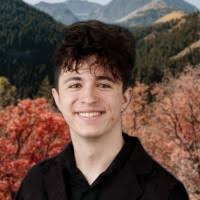 60+ "Lupescu" profiles