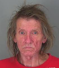 STEVEN GOSNELL, DANNY Arrest Date: 03/26/2025 00:00 Offenses: