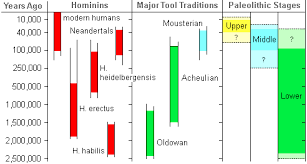 Evolution Of Modern Humans Archaic Human Culture