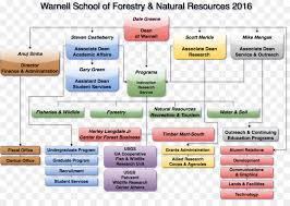 organizational chart text png download 1107 769 free