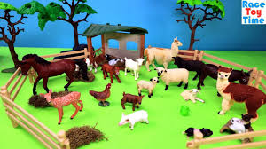 Pekin ducks are excellent farm animals and pets. Farm Animals Petting Zoo Fun Toys For Kids Youtube