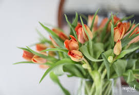 We did not find results for: Styling Tips For Diy Modern Flower Arrangements For Spring