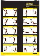 Trx Charts Lower Body Gym Workouts Trx Training