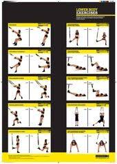 trx charts lower body gym workouts trx training