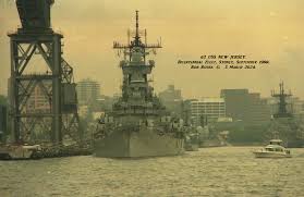 Image result for Yellow 1988 Fleet