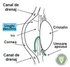 Diagnosticul medicului a cost 'glaucoma cu unghi deschis'. Glaucom Vitreum Centru Medical Oftalmologic