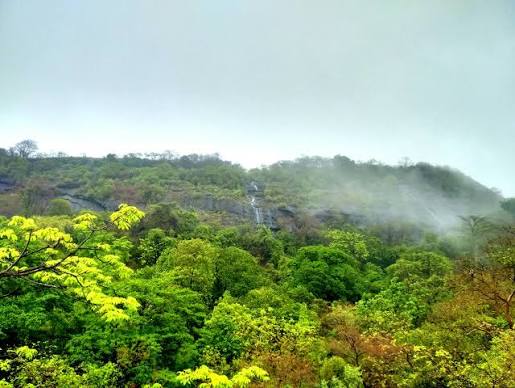 File:Sanjay Gandhi National Park Borivali.jpg - Wikimedia Commons