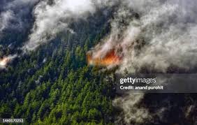 Image result for tbn:XVFRz-6Maj2JLM::www.jolmag.co.za/wildfire/images/Logos/vuvuzela_header.jpg