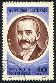 Aron stock image. Image of detail, aron, macro, plant