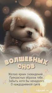Красивые картинки &amp;quot;Спокойной ночи!&amp;quot; 🌠🌙 (179 шт.)