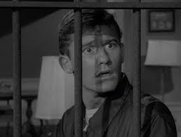 Serling's Re-Zoning Efforts: “People Are Alike All Over”