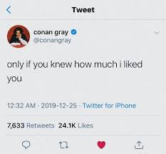Pin By Hannah On Conan Gray In 2020 Conan Gray Conan Gray Aesthetic Conan