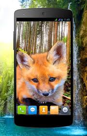 Videoclips de stock en 4k y hd sobre 895.179 fondo de pantalla para proyectos creativos. 3d Animales Paralaje Fondo De Pantalla En Vivo For Android Apk Download