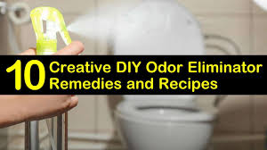 When the crystals have completely dissolved, discard the arm & hammer moisture absorber & odor eliminator in the trash. 10 Creative Diy Odor Eliminator Remedies And Recipes
