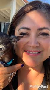 This morning at 9 AM, February 5, 2025, my Lil’ Guy, Mr. Jackson Wink  Bojangles, Little Papa, Little Fairy Dog, Wink, Little Man, My Little Old  Man, ￼My Baby, passed away. I am devastated! Please say ...