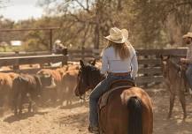 Fall Cowboy Academy