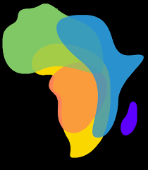 African Network of Constitutional Lawyers