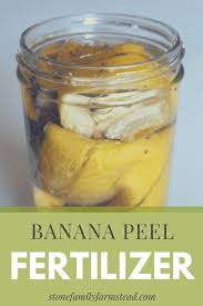 Here S A Great Zero Waste Idea For Adding Nutrients Into Your Garden Banana Peel Fertilizer Takes Less 5 M Banana Peel Fertilizer For Plants Tomato Fertilizer