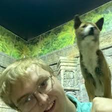 Total time of litrpg books