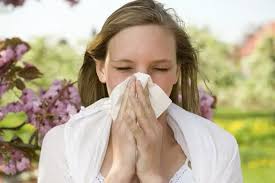 Hay fever sufferers have been raving about wipes that make them feel 'a  million times better'