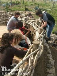Building A Celtic Roundhouse Casa Redonda Edificios Naturistas Construir Una Casa