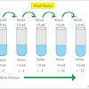 Then, the number of bacteria in 1 ml of the original sample can be calculated as follows: 1