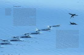 Planet Earth III by Matt Brandon, Michael Gunton | Waterstones