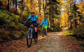 Embrace the Outdoors: Active Living for Wellness	Outdoor Activities