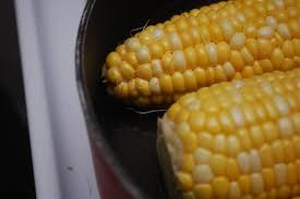Cara ini bisa dilakukan untuk kentang utuh ataupun kentang yang sudah dikupas. Cara Memasak Telinga Jagung Dalam Periuk Cara Memasak Jagung