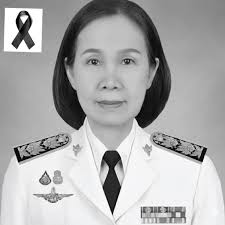 In the middle of a snowstorm, a mother cat knocks