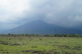 Sep 05, 2018 · prinsip dasar perekaman log ini adalah mengukur total radioaktivitas alami yang berasal dari formasi (gover p.w.j., 2000). Mahasiswa Biologi Uny Observasi Makhluk Hidup Di Savana Bekol Www Uny Ac Id