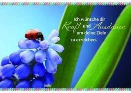 Postkarte Ich Wunsche Dir Mit Text Ich Wunsche Dir Kraft Und Ausdauer Um Deine Ziele Zu Erreichen Heidi Rose Motiv Marienkafer Auf Blume Gedenkshop