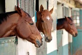 Rotational worming is not just swapping brands. Hard To Stomach Equine Gastric Ulcer Syndrome The Horse