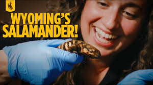 Mel Torres's Instagram, Twitter & Facebook