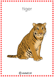 Purenudism naturist pool and games. Flashcards Animals Stellaelm