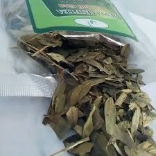 Daun jati cina berasal dari pohon berbentuk perdu dengan nama latin senna alexandina. Teh Jati Cina Teh Jati Cina Murah Teh Jati Cina Asli 0812 3230 8116 Teh Jati Daun China Teh Jati China Efek Teh Jati Cina Fungsinya 0812 3230 8116