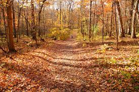 Lake maria state park (/ m ə ˈ r aɪ. Lake Maria State Park Parks Trails Council Of Minnesota