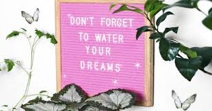 Fairytale Slavery Letterboard Quote Indoor Plants Plants Pictured Tomato Rex Begonia Japanese Camellia Don T Fo Plants Quotes Plant Pictures Plants