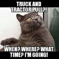 Truck Tractor Pulls When Where Cat Quotes Funny Funny Cat Memes Funny Animal Pictures