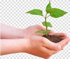 Find 70+ catchy slogans about trees and forest. Cartoon Nature Tree Planting International Day Of Forests Natural Environment Plants Forestry Slogan Lumber Business Garden Transparent Background Png Clipart Hiclipart