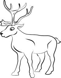Animal drawings outline pictures deer coloring pages thanksgiving coloring pages animals animal coloring pages dolphin coloring pages native american thanksgiving deer. Printable Reindeer Coloring Pages For Kids Drawing With Crayons