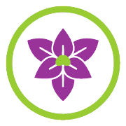 Maybe you would like to learn more about one of these? Harry S Flowers Home Facebook